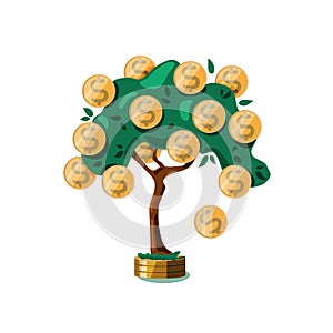 Money tree with dollar coins on a white isolated background. The concept of growth, wealth, Deposit.