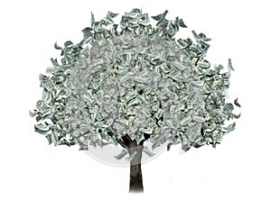 Money tree with dollars instead of leaves on a white background. The concept of financial growth, passive income, dividends