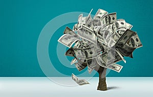 Money Tree with dollars on background