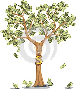 Money tree with dollars