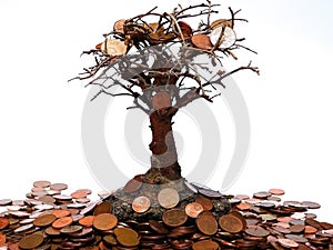 Money tree