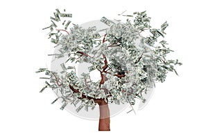 Money tree with hundred dollar bills, 3D rendering