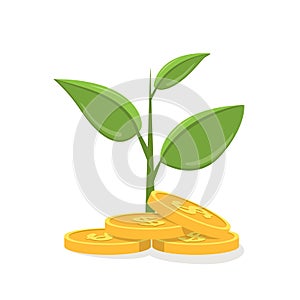 Money tree icon. Vector flat illustration isolated on white background.