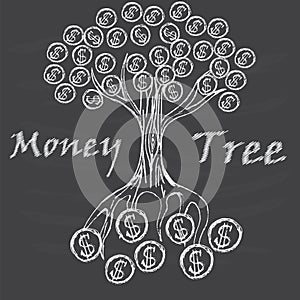 Money tree isolated photo