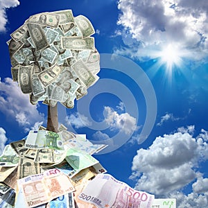 money tree in money pile