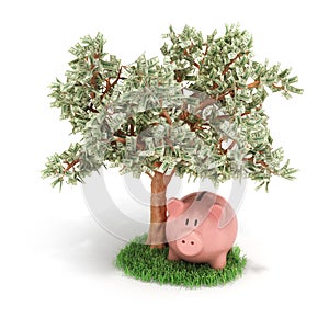 Money tree and piggy bank,