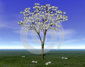 MONEY TREE PLANNING WEALTH MANAGEMENT INVESTMENT FUND CAPITAL GROWTH STOCK CASH FLOW SAVING RETIREMENT FINANCIAL