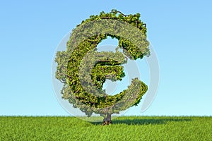 Money tree in the shape of a euro sign on the green grass against blue sky, 3D rendering