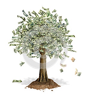 Money Tree with US Dollar banknotes in place of leaves.