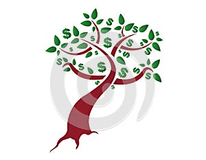 Money tree on white background