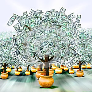 Money trees