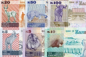 Money from Zambia a business background