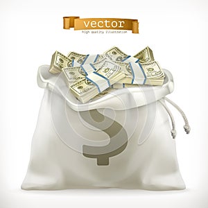 Moneybag. Paper money vector icon