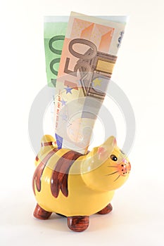 Moneybox with euro banknotes