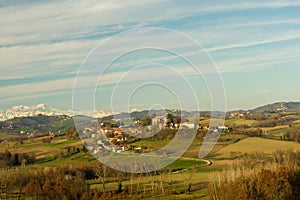 Monferrato fields. photo