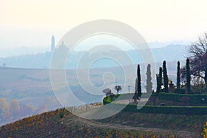Monferrato landscape