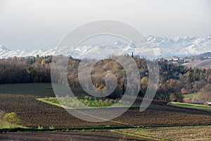 Monferrato fields. photo