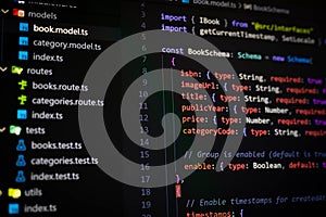 MongoDB book shcema database model in typescript programming
