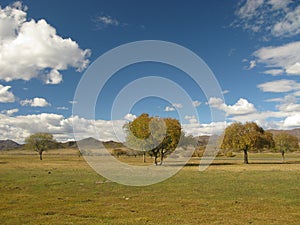 Mongolia - landscape near Selenge river