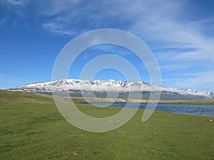 Mongolia sheep - traditional lifestyle and landscape in west Mongolia