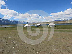 Mongolia sheep - traditional lifestyle and landscape in west Mongolia