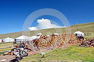 Mongolia. Stacked wood near the entrance to the camp near the lake Hovsgol near the village of khankh closeup.
