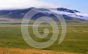 Mongolia steppe photo