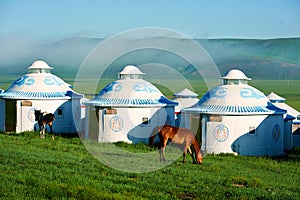 The Mongolia yurts and horses on the green summer grassland photo