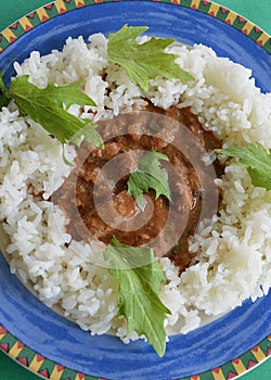 Mongolian beef with jasmine rice on a colorful plate