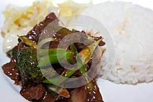 Mongolian beef with plain rice. photo