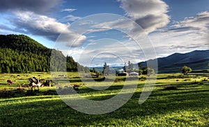 Mongolian dwelling photo