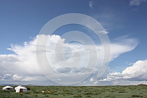 Mongolian gers in the summer sun
