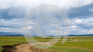 Mongolian grassland with grazing livestock.