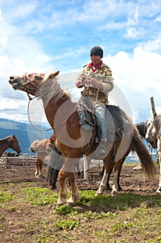 Mongolian herdsman