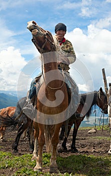 Mongolian herdsman