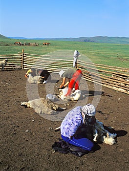 Mongolian life photo