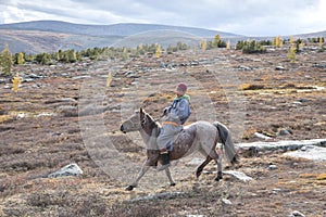 Mongolian man in a horse in a taiga landscape