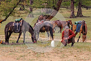 Mongolian shepherds with horses