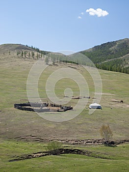 Mongolian steppe with ger