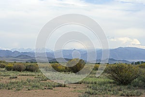 Mongolian steppe and mountains of Altai.