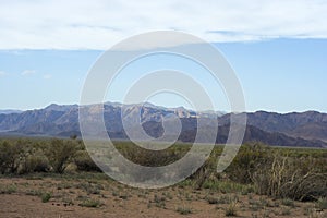 Mongolian steppe and mountains of Altai.