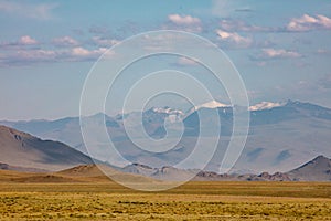 Mongolian Ulegai, Mongolian steppe