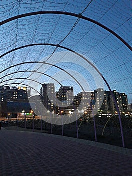 Mongolian urban life