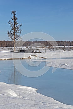 Mongolian winter landscape of a river