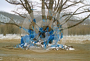 Mongolian worship place