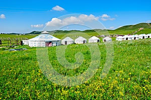 The mongolian yurt in the meadow