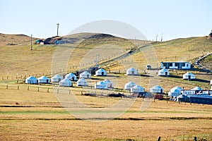 The mongolian yurts on the hillside of meadows