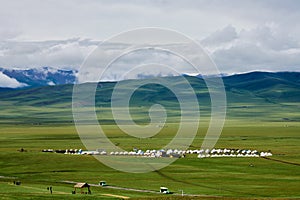 The mongolian yurts in summer pasture