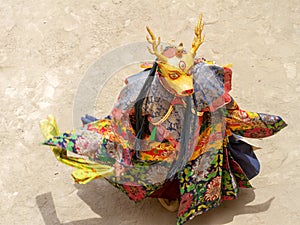 Monk in a deer stag deity mask performs a religious masked and costumed Cham dance of Tantric Tibetan Vajrayana Buddhism