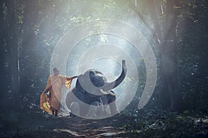 Monk and Elephant in Thailand